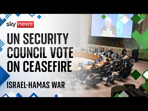 Israel-Hamas war: UN Security Council votes on humanitarian ceasefire in Gaza