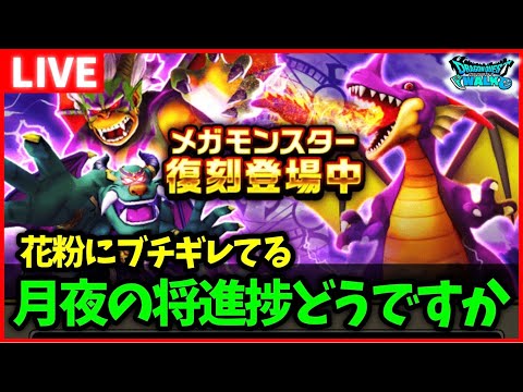 【ドラクエウォーク】3.5周年イベント進捗どうですか？強敵月夜の将進んでる？【雑談放送】