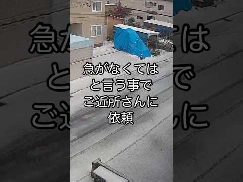 【号砲】ご近所さんとの奪い合い #shorts #ホイールローダー #除雪 #雪かき #奪い合い