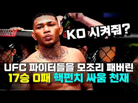 17승 0패 '핵펀치' 싸움 천재!!? UFC를 모조리 KO시켜 버린 25세 신인 파이터 ㄷㄷ