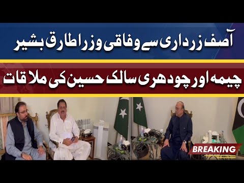 Federal Ministers Tariq Bashir Cheema And Chaudhry Salik Hussain Meet Asif Ali Zardari | Dunya News