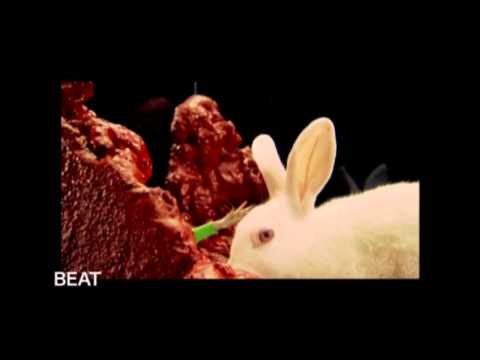 木村カエラ「BEAT」
