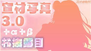 【4つお披露目】宣材写真＋3.0＋α＋βを見せちゃうよっઇ🦭ଓ【 にじさんじ / 五十嵐梨花 】