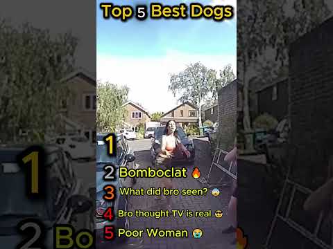 Ranking Top 5 Best Dogs 😂🐶🙉 #shorts #funny #animals