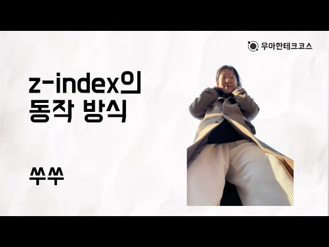 [10분 테코톡] 쑤쑤의 z-index의 동작 방식