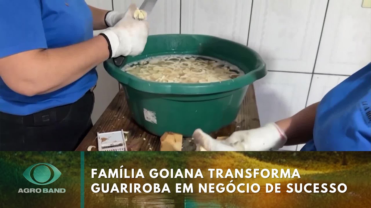 Família goiana transforma guariroba em negócio de sucesso  TV Online Família goiana transforma guariroba em negócio de sucesso