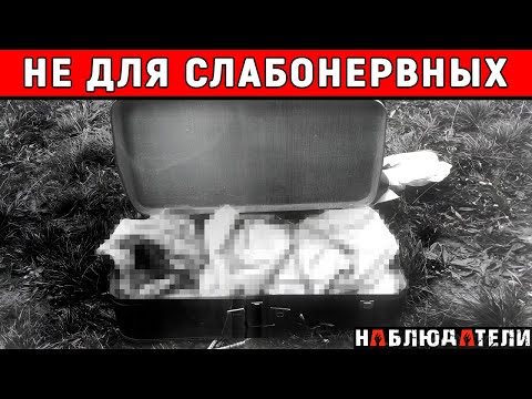 Этот обыск был самым жутким в моей карьере - слова детектива. Иссеи Сагава /// Issei Sagawa.