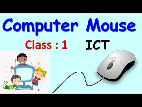 Class 1 || Computer Mouse || CAIE / CBSE || Computers || Using The Mouse || Mouse Actions ||