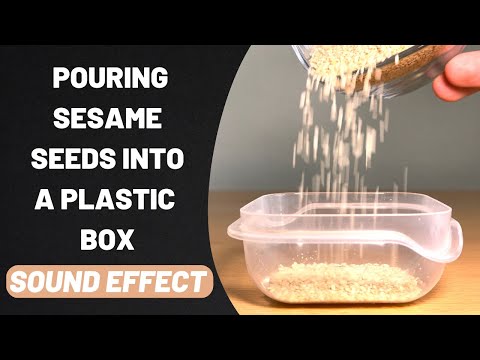 Pouring Sesame Seeds into a Plastic Box Sound Effect Stereo High Quality 96kHz