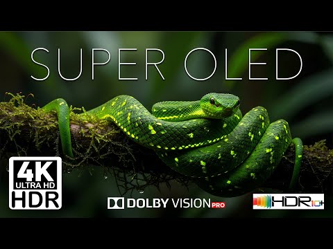 Mind-Blowing OLED 4K HDR10+ Dolby Vision Demo | OLED Test