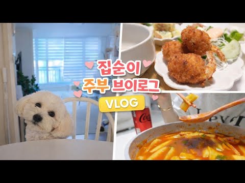 40대 주부 브이로그 | 집밥 만들고 단발머리 콩이🐶와 보내는 일상