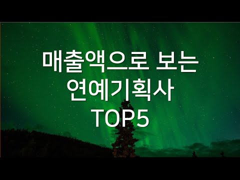 매출액으로 보는 연예기획사 TOP5