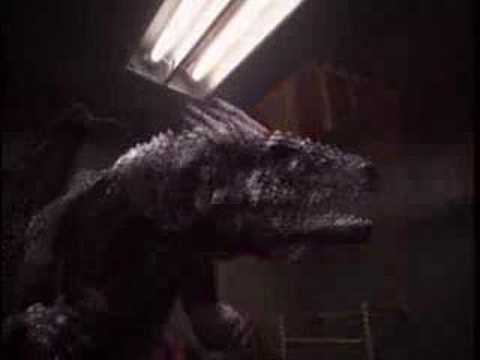 Dragon Fighter'