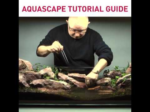 Aquascape Timelapse- Continuity (Fast Edit) The Art of Aquascaping Book now is available to download- https_//www.thegreenmachineonline.com/aqua