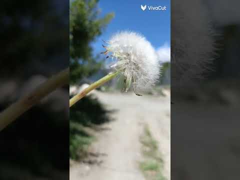 #travel #love #nature