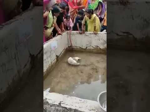 #Ram nam aadhar jinhe woh jalme rah bnate hai ram setu ki chamatkar shot video
