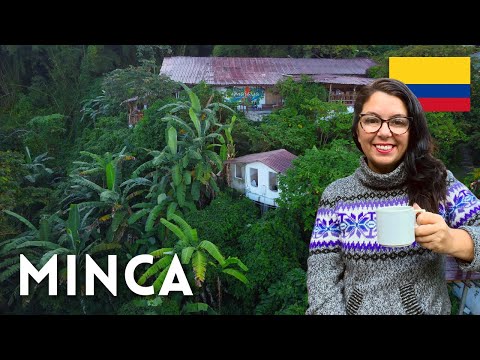 COLOMBIANS Told me I HAD TO GO HERE 🇨🇴 Minca Colombia