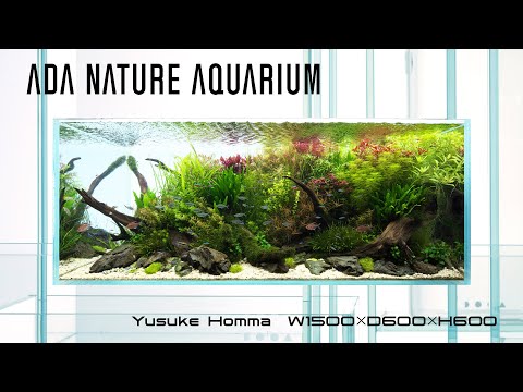 [ADAview] 水辺のパレット Waterside Palette  -W1500mm NatureAquarium Layout-【EN/JP Sub.】