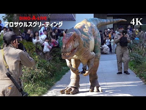 【4K】DINO-A-LIVE アロサウルスグリーティング 2025.2.15／TACHIKAWA Green Springs Allosaurus Greeting