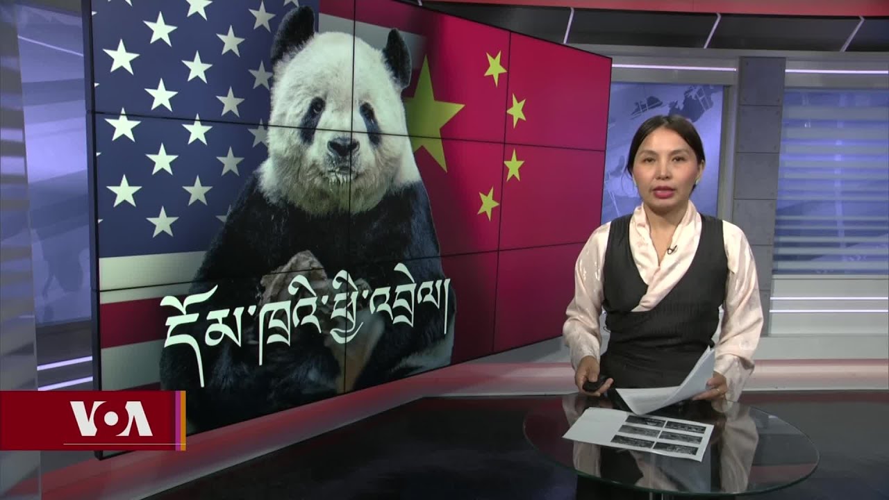 ཀུན་གླེང་གསར་འགྱུར། ༢༠༢༣ ལོའི་ཟླ་༡༡ ཚེས་༡༠ Kunleng News Full Broadcast Nov 10, 2023