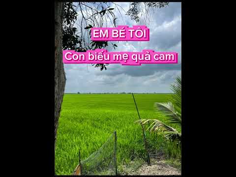 Em bé tôi - Con biếu mẹ quả cam #Embétôi #TraiOi