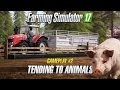 Gameplay #2: Tending to Animals