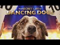 ‘The Secret Life of Dancing Dogs Premieres Nov. 17