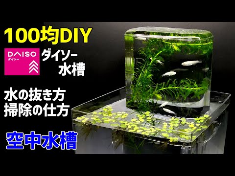 【掃除の仕方】ダイソー水槽で作った【空中水槽】メンテナンス方法/メダカ飼育/四角型水槽/【100均アクアリウム】
