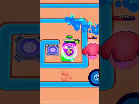 Nita bear vs poco #brawlstars #supercell #super