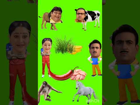 new kathala vital Best #shorts