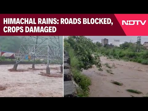 Himachal Floods News | Rains Lash Himachal, 135 Roads Shut Due To Landslides, Floods & Other News