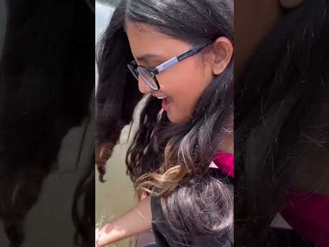 Sight of Amarkantak through my eyes🫶🏻✨ #travel #amarkantak #music #ggv #beautiful #nature #lively