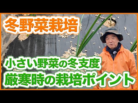 家庭菜園や農園でサイズが小さい野菜の厳寒時の栽培ポイント！小さい株を大きく育てる改善策を徹底解説！【農園ライフ】