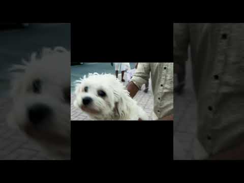 Yet life moves on. Follow me on Instagram @azra.gafoor #lifeisbutadream #dreaming #travel #trending