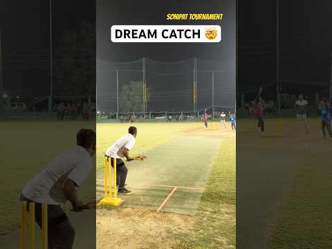 Dream Catch 🤯 Cricket Fielder Taking Unbelievable Diving Catch 🔥 #cricket #shorts #t20