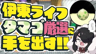 【ポケモン】タマゴ厳選に手を出します！！！旅メンバーの子どもたちを育ててみるか！！！【BW2】【ブラック・ホワイト2】 #伊東ライフ