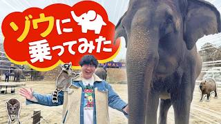 動画サムネイル