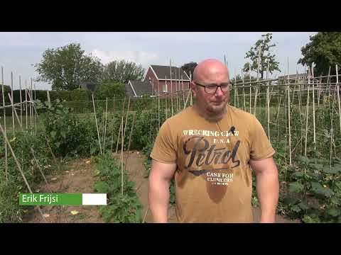 De Etalage: d'r Moostuin Berg en terblijt