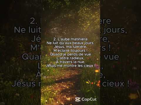 Ne crains rien je t'aime (Cover) | Partie 3#relaxingmusic #music #sunset #love