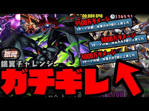 【ガチギレ】3000万ダメージ連発にガチギレしながら立ち向かう怪獣9号【ダックス】【パズドラ実況】