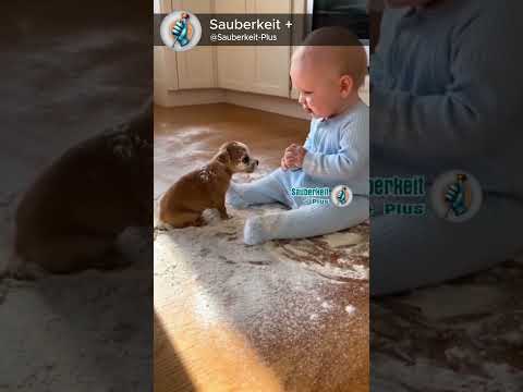 He never barked again 💨😹