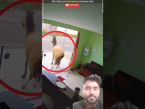 #diy #funny #facts viralreels #viralvideo #akashambaniwedding #comedy #comedy #viral #viral