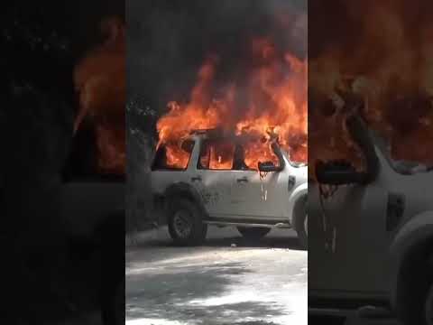 Tear gas has been fired at protesters demanding security from criminal gangs in Haiti