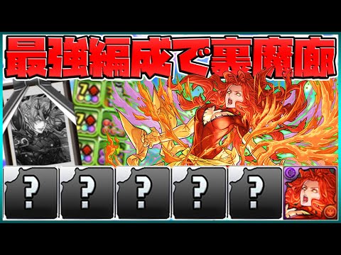 ダークフェニックスで裏魔廊攻略！星6でこの性能はぶっ壊れすぎ！【パズドラ】