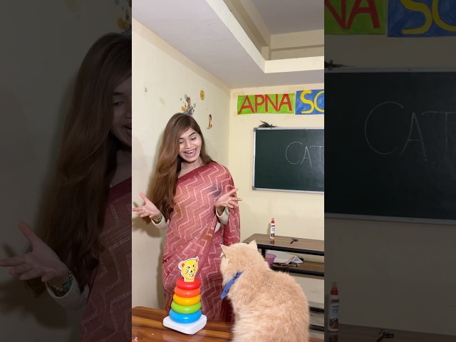 Monty ki puzzle kho gyi😱|| Jashvi Vishvi || #shorts #youtubeshorts #viralvideo #trending