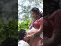 Amala Pauls Baby Shower #amalapaul #jagatdesai #ytshorts #trending #indiaglitztelugu  - 00:57 min - News - Video