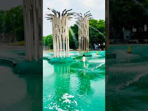 【今年も夏がやってきた☀️/水遊び⛲️】#summer #pool #water #shorts #youtubeshorts サムネイル
