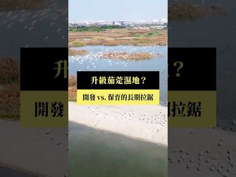 【短片｜升級茄萣濕地？】公視｜我們的島 #shorts