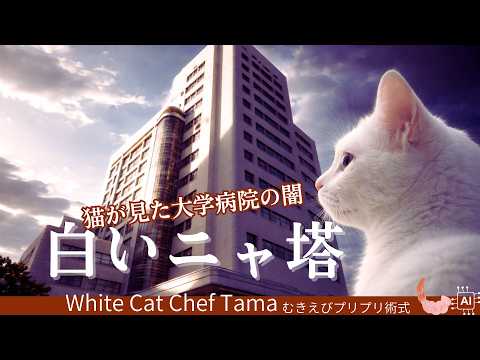 白いニャ塔【タマのごはん処】つかんだ胃袋で、権力の座もつかめるか?「野望の階段」
