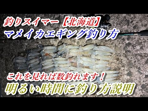 マメイカエギング～ティッピングでマメイカ数釣り、釣り方解説付き～